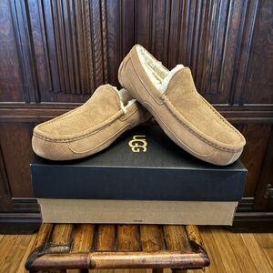 UGG Ascot Slipper for Men - Chestnut